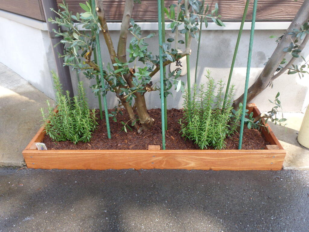 樹木も花壇の枠もスッキリと綺麗にしました【渋谷区Ｋ邸様】