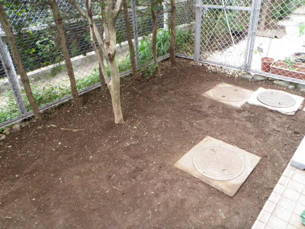 マンション専用庭の除草作業【渋谷区Ｏ邸様】