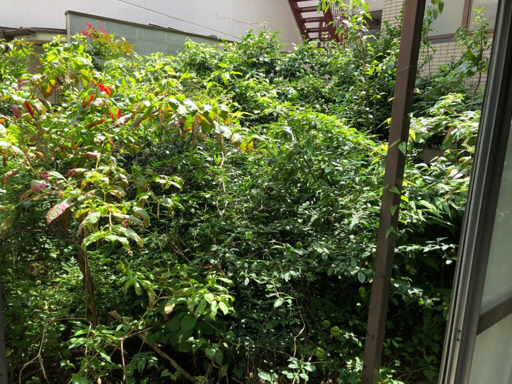 雑草が茂った庭をスッキリと！【渋谷区W邸様】