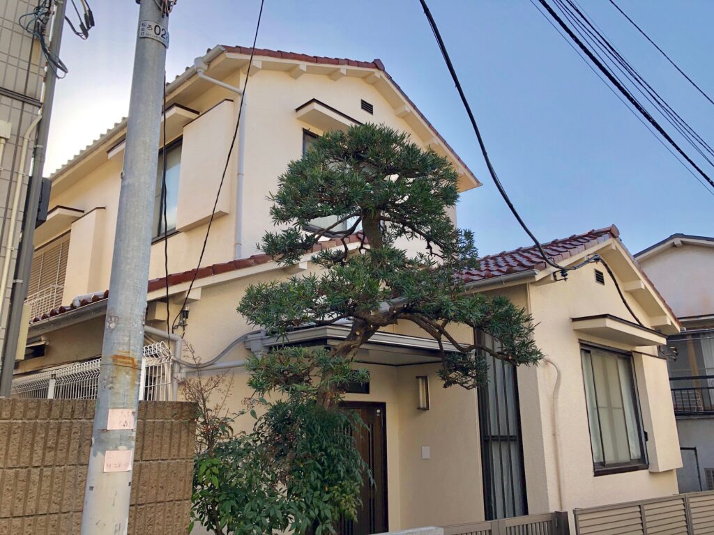 玄関前の大きなマキのお手入れ【港区H邸様】