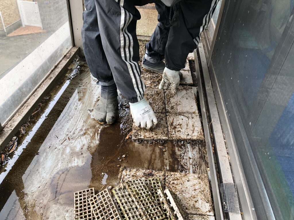 ベランダの不用植栽を整理して綺麗に片付け【渋谷区Y邸様】