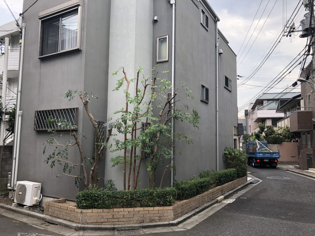 樹木せん定作業【渋谷区T邸様】